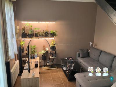 For rent Egreville 2 rooms 40 m2 Seine et marne (77620) photo 0