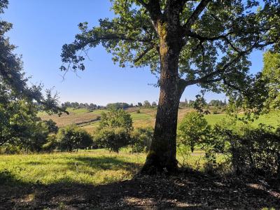 For sale Couloume-mondebat Gers 7 rooms 150 m2 Gers (32160) photo 2