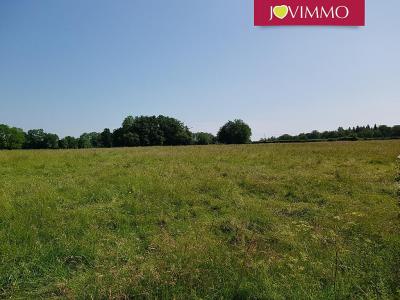 Annonce Vente Terrain Saint-pierre-le-chastel 63