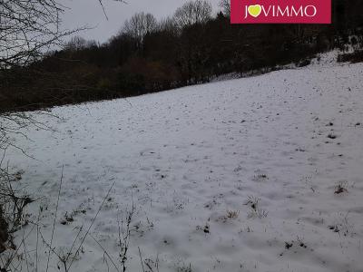 Acheter Terrain Saint-pierre-le-chastel 66000 euros