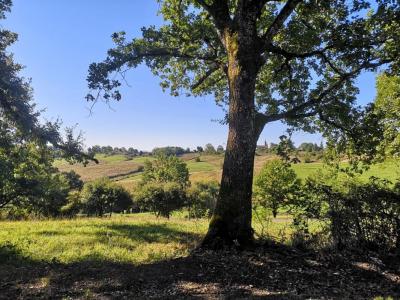 For sale Couloume-mondebat 7 rooms 150 m2 Gers (32160) photo 2