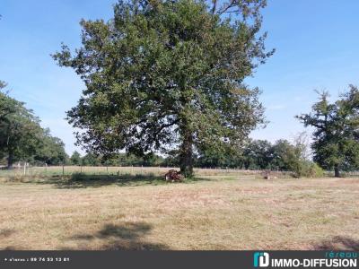 For sale CAMPAGNE Creuse (23230) photo 3