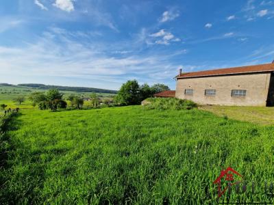 For sale Tollaincourt 5 rooms 146 m2 Vosges (88320) photo 0