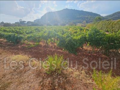 For sale Brignoles 450 m2 Var (83170) photo 0