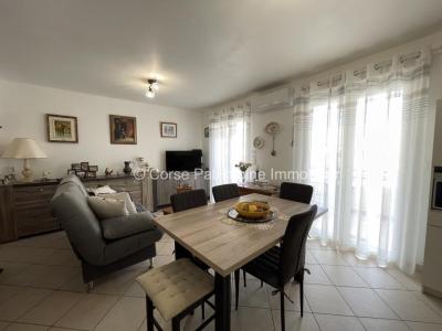 Annonce Vente 2 pices Appartement San-nicolao 20