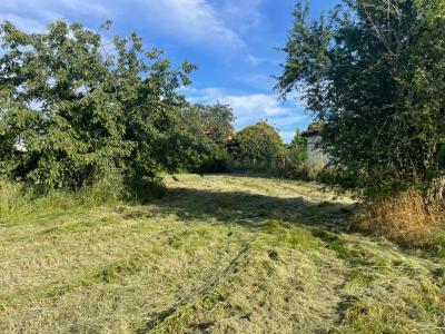 Annonce Vente Terrain Montaigut-sur-save 31