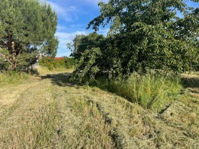 Acheter Terrain Montaigut-sur-save Haute garonne