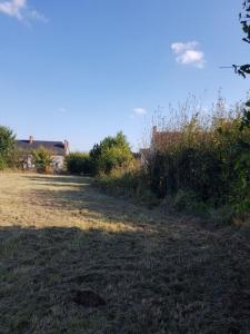 Acheter Terrain Cour-marigny 24000 euros