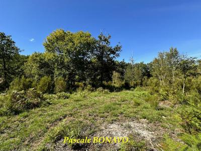 For sale Vendays-montalivet 2327 m2 Gironde (33930) photo 0