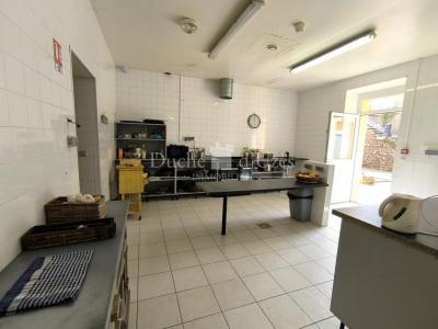 Acheter Chambre d'hotes Besseges 259000 euros