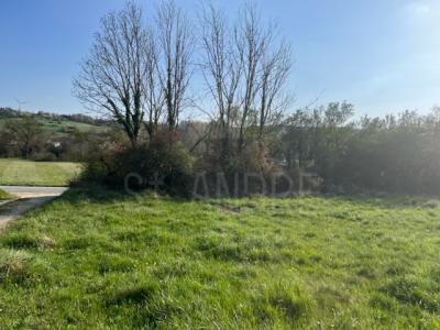 For sale Saint-clair-sur-galaure Saint Clair sur Galaure 1037 m2 Isere (38940) photo 1