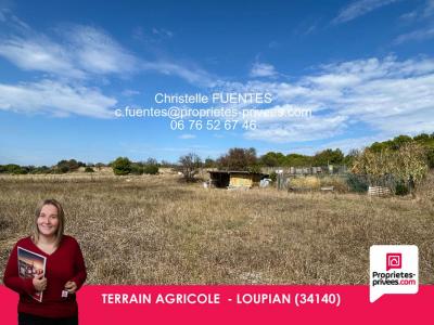 For sale Loupian 3850 m2 Herault (34140) photo 0