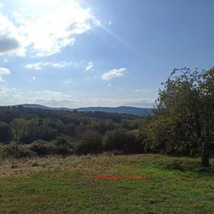 Acheter Terrain 1200 m2 Saint-pantaleon-de-larche