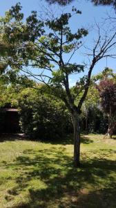 For sale Biscarrosse 5 rooms 104 m2 Landes (40600) photo 0