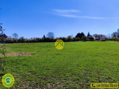 For sale Guerche-sur-l'aubois 1500 m2 Cher (18150) photo 4