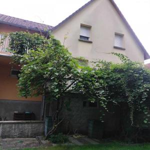 For sale Selestat 5 rooms 110 m2 Bas rhin (67600) photo 0