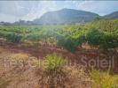 For sale Land Brignoles  450 m2