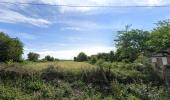 For sale Land Lozinghem 