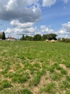 Annonce Vente Terrain Beaulieu-sur-loire 45