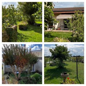 For rent Saint-estephe 3 rooms 70 m2 Gironde (33180) photo 0