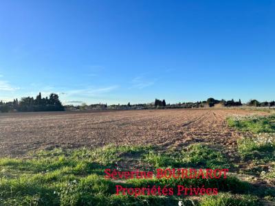 For sale Lunel 6400 m2 Herault (34400) photo 0