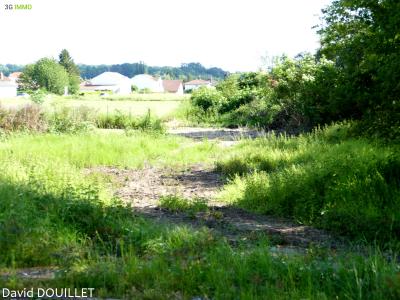 Acheter Terrain Dogneville Vosges