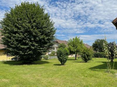 Annonce Vente 4 pices Maison Doussard 74