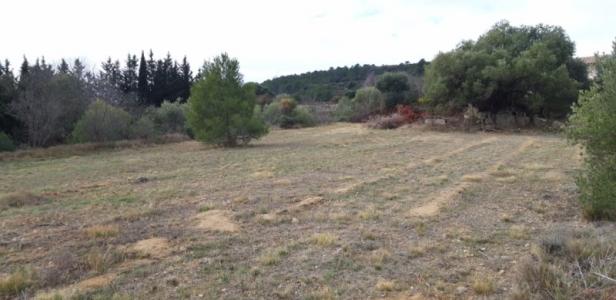 For sale Mailhac 1296 m2 Aude (11120) photo 3