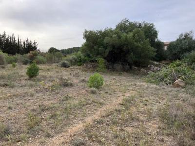 For sale Mailhac 1296 m2 Aude (11120) photo 4