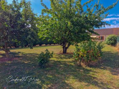 Annonce Vente 5 pices Maison Bazoches-les-gallerandes 45