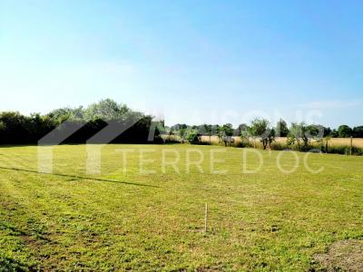 For sale Revel 1000 m2 Haute garonne (31250) photo 0