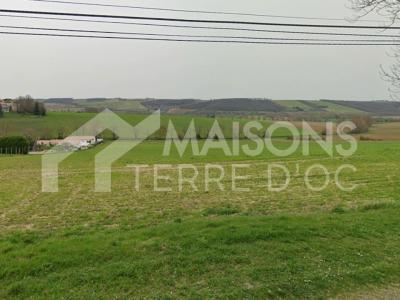 Annonce Vente Maison Saint-leon 31