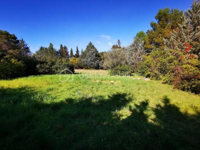 For sale Saint-gely-du-fesc 620 m2 Herault (34980) photo 0