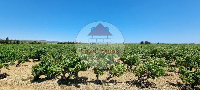 For sale Palme 8360 m2 Aude (11480) photo 0