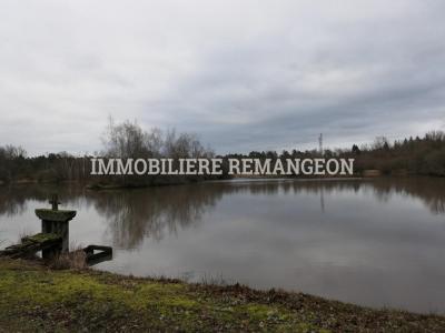 For sale Lamotte-beuvron 9 rooms 400 m2 Loir et cher (41600) photo 3