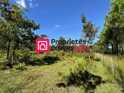 For sale Vendays-montalivet 2991 m2 Gironde (33930) photo 1