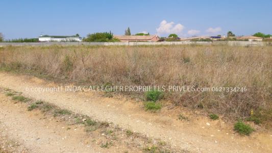 Annonce Vente Terrain Pezenas 34