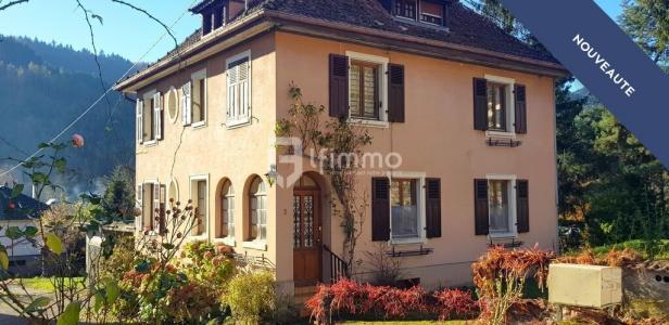 Annonce Vente Immeuble Lautenbach 68