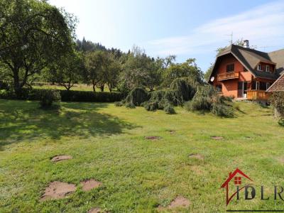 For sale Brouvelieures 6 rooms 117 m2 Vosges (88600) photo 2