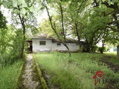 Acheter Maison Isle-sur-le-doubs Doubs