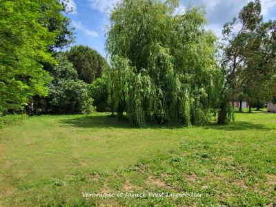 For sale Sainte-foy-d'aigrefeuille Haute garonne (31570) photo 0