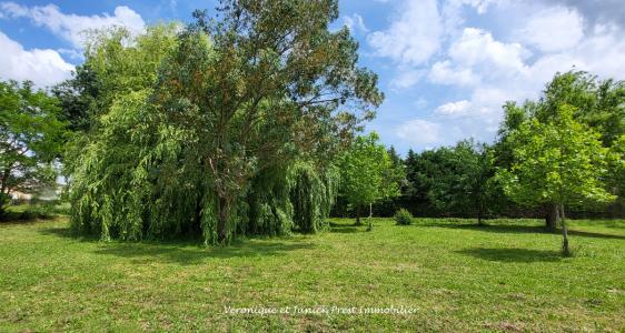 For sale Sainte-foy-d'aigrefeuille Haute garonne (31570) photo 2