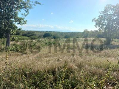 For sale Anse-bertrand Guadeloupe (97121) photo 0