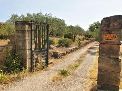 For sale Bosc 4 rooms 120 m2 Herault (34700) photo 0