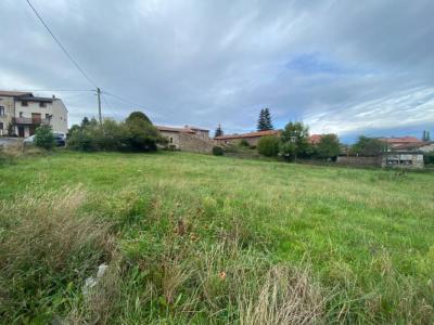 Annonce Vente Terrain Monistrol-sur-loire 43