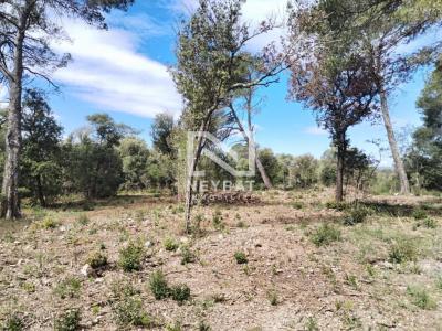 For sale Montauroux Var (83440) photo 3