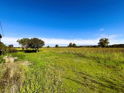 Acheter Maison Amou Landes