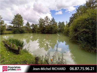 For sale Chatillon-sur-cher 1 room 7650 m2 Loir et cher (41130) photo 2