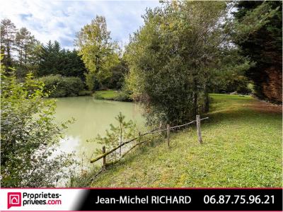 For sale Chatillon-sur-cher 1 room 7650 m2 Loir et cher (41130) photo 4