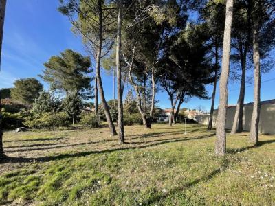 Annonce Vente Terrain Saint-mitre-les-remparts 13